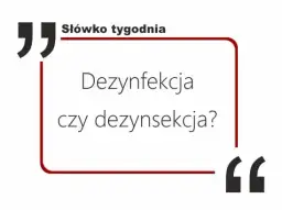 Dezynfekcja czy dezynfekcja: co musisz wiedzieć o skuteczności?
