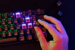 Sport i rozrywka online w Polsce: dlaczego zakłady sportowe i gry oparte na losowości są ze sobą powiązane