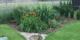 Jak stworzyć piękny ogródek na oczyszczalni: praktyczny poradnik dla każdego