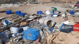 Co się dzieje ze śmieciami po wyrzuceniu: poznaj prawdę o odpadach