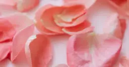 Włosy i paznokcie: 7 suplementów dla ich wzmocnienia