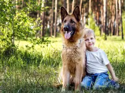 Reinkarnacja psa – historie i przekonania o powrocie ukochanych czworonogów