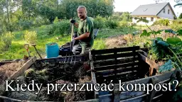 Kiedy rozrzucać kompost? Najlepszy czas i skuteczne techniki