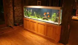 Akwarium z pokrywą czy bez - poznaj wszystkie wady i zalety rozwiązań