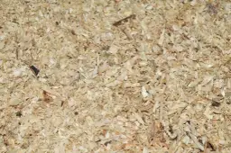 Ile trocin potrzeba na tonę pelletu? Obliczenia i optymalizacja produkcji