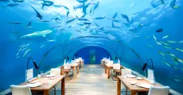 Kiedy najlepiej jechać do Japonii, aby uniknąć tłumów i cieszyć się pięknem natury