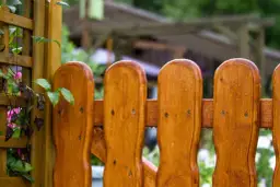 Jakie drewno na płot wybrać, aby uniknąć kosztownych błędów?