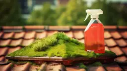 Czysta Dachówka Glow - preparat do mycia dachów