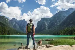 Gdzie pojechać z psem? Odkryj najlepsze miejsca na wakacje z pupilem