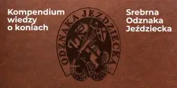 Srebrna odznaka jeździecka - jak zdobyć i uniknąć najczęstszych błędów