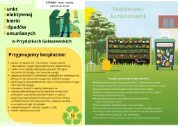 Jak prawidłowo wyrzucić ogórki kiszone - segregacja odpadów