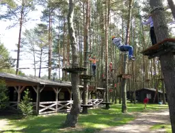 Ile kosztuje budowa parku linowego? Zaskakujące wydatki, które musisz znać!