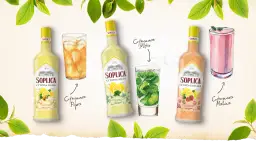 Jak przygotować pyszny drink z soplicą cytryna malina, który zaskoczy gości