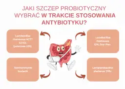 Probiotyk a antybiotyk: możliwość wspólnego stosowania.