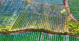 Najciekawsze gry w gatunku symulator chodzenia, które warto sprawdzić