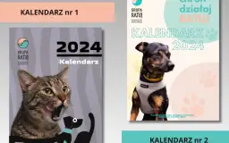 Jak utworzyć instytucję charytatywną od podstaw: kompletny poradnik 2025