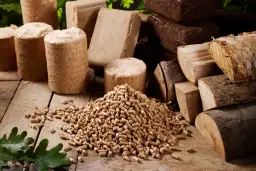 Czym można palić w kominku? Porównanie paliw i ich efektywność