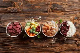 Jak zrobić mokrą karmę dla kota: 3 proste przepisy na domowy posiłek