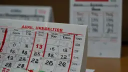 Termin PIT-0: Nie przegap ważnej daty! Do kiedy? Rozlicz się!