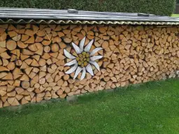 Jak przechowywać drewno do kominka, aby uniknąć wilgoci i szkodników