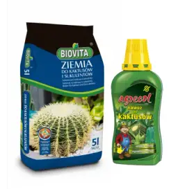 Jaki nawóz do kaktusów? Sekrety zdrowych roślin pustynnych