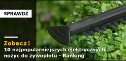Nożyce do żywopłotu jakie wybrać – uniknij najczęstszych błędów
