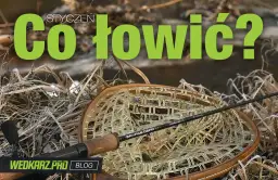 Czy można łowić na spinning w styczniu? Sprawdź, jakie ryby możesz złowić