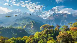 Nieznane kraje Ameryki Południowej: Poznaj je, zanim będzie za późno