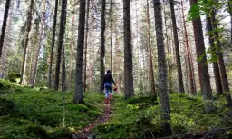 Jak filmy przyrodnicze wpływają na nasz stosunek do lasów?