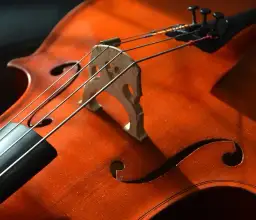 Poznaj szczegółowy opis strun w skrzypcach: budowa i strojenie instrumentu