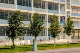 Czy można posadzić drzewo przed blokiem? Ważne informacje o zgodach