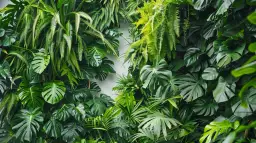 Ogrody wertykalne: Jak założyć własny ogród na ścianie?