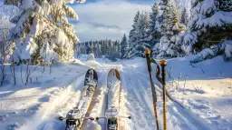 Narty biegowe: Jakie są najlepsze zestawy na zimowe dni?