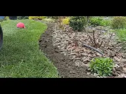 Jak odgrodzić rabatę od trawnika i uniknąć przerastania trawy