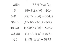 Ile kalorii potrzebuje mężczyzna? Oblicz swoje zapotrzebowanie i uniknij błędów w diecie