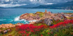 Ile kosztuje prom na Korsykę? Sprawdź najniższe ceny i trasy