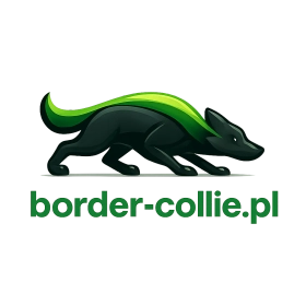 border-collie.pl