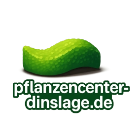pflanzencenter-dinslage.de