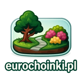 eurochoinki.pl