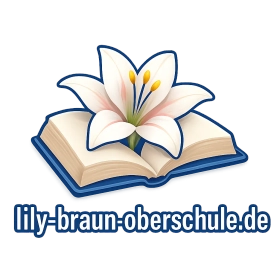 lily-braun-oberschule.de