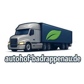 autohof-badrappenau.de