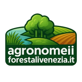 agronomiforestalivenezia.it