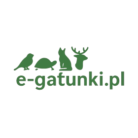 e-gatunki.pl