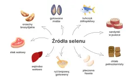 Orzechy brazylijskie, małże, tuńczyk, sardynki, chleb pełnoziarnisty, fasola, ryż, wątroba i wołowina to doskonałe źródła selenu.