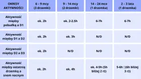 Tabela pokazuje, ile śpi noworodek w zależności od wieku i liczby drzemek. Od 6-9 miesięcy do 2-3 lat, czas aktywności między pobudkami i drzemkami jest różny.