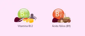 Vitamina B12 (pescado, queso) y ácido fólico (B9) (frutos secos, cereales) para una dieta equilibrada.