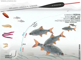 Jaki spławik na rzekę? Ilustracja pokazuje zestaw do połowu płoci i jaź na bolonkę, z przynętami: kaster, biały robak, pinka, ochotka.