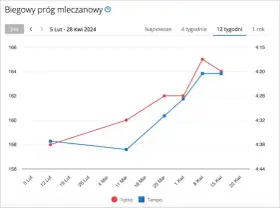 Maraton: 42,195 km skąd ta liczba? Historia i rekordy biegu