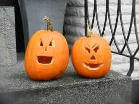 Två utskurna pumpor med läskiga ansikten står redo för halloween vecka.