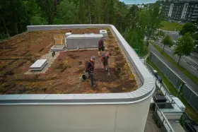 Arbetare sköter om ett sedumtak konstruktion. De planterar och vattnar, vilket bidrar till en grönare stadsmiljö.